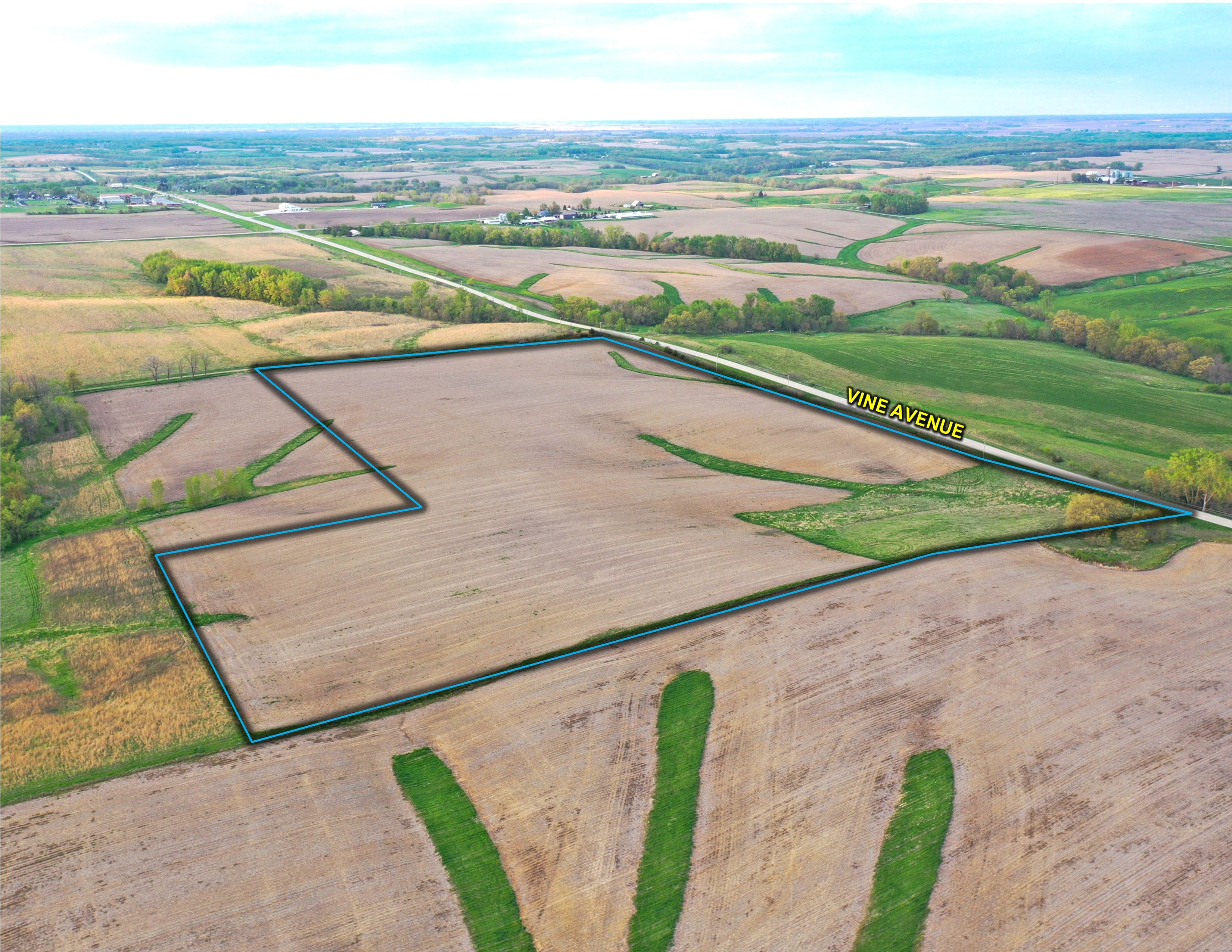 Listing Photo: Land For Sale Washington Iowa